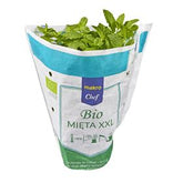 MAKRO CHEF BIO MIĘTA BIO XXL 1 POLNISCHE ART